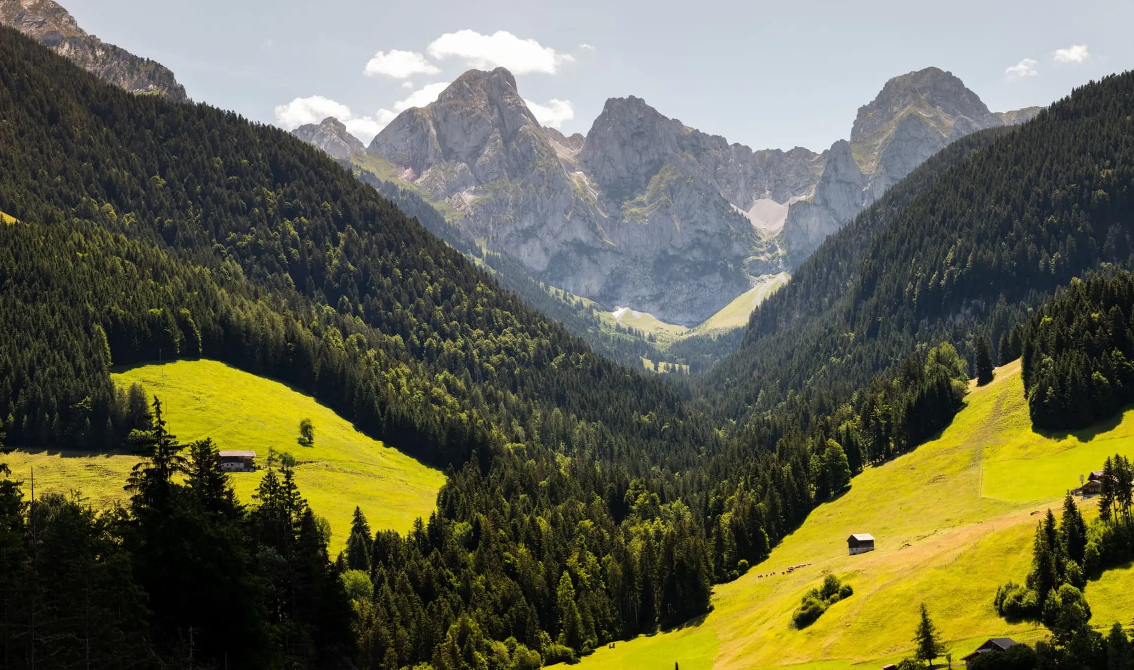 Die Alpweiden rund um Rougemont